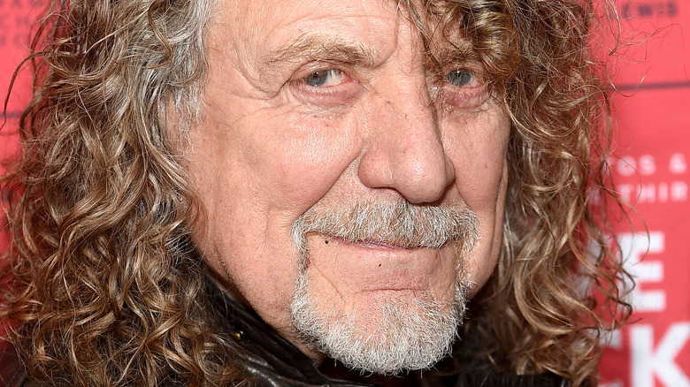 Robert Plant, Led Zeppelin e non solo.
