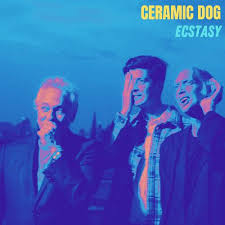 La psichedelia di Ceramic Dog in “Ecstacy”